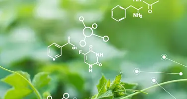 NSTC’s Sustainable Chemistry Strategy Team Releases Sustainable